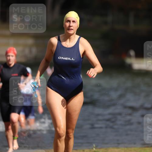 14.09.2025 - Stadtparktriathlon Michael Strokosch http://msf.ph/oto/8873474 14.09.2025 12:13:57 Schwimmen 1236, 1237, 1288 meine-sportfotos.de