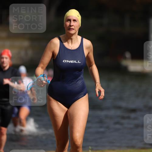 14.09.2025 - Stadtparktriathlon Michael Strokosch http://msf.ph/oto/8873475 14.09.2025 12:13:57 Schwimmen 1236, 1237, 1288 meine-sportfotos.de