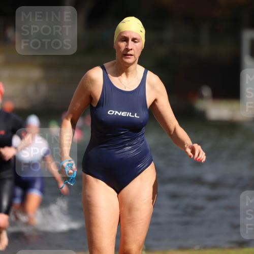 14.09.2025 - Stadtparktriathlon Michael Strokosch http://msf.ph/oto/8873477 14.09.2025 12:13:57 Schwimmen 1236, 1237, 1288 meine-sportfotos.de