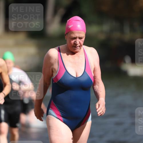 14.09.2025 - Stadtparktriathlon Michael Strokosch http://msf.ph/oto/8873662 14.09.2025 12:14:57 Schwimmen 1254, 1273, 1299, 1303, 1308 meine-sportfotos.de