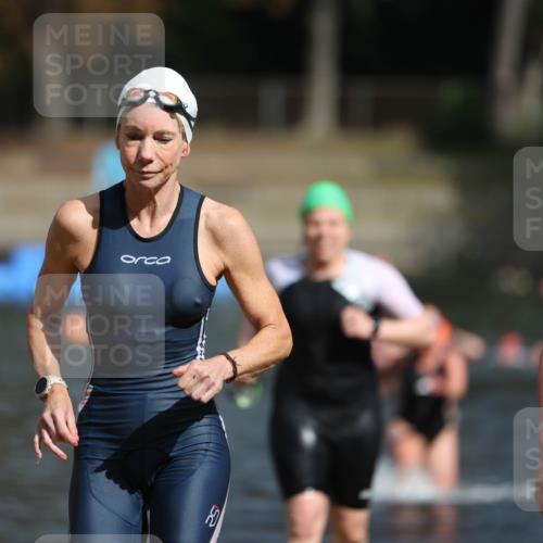 14.09.2025 - Stadtparktriathlon Michael Strokosch http://msf.ph/oto/8873665 14.09.2025 12:14:58 Schwimmen 1254, 1273, 1303, 1308 meine-sportfotos.de