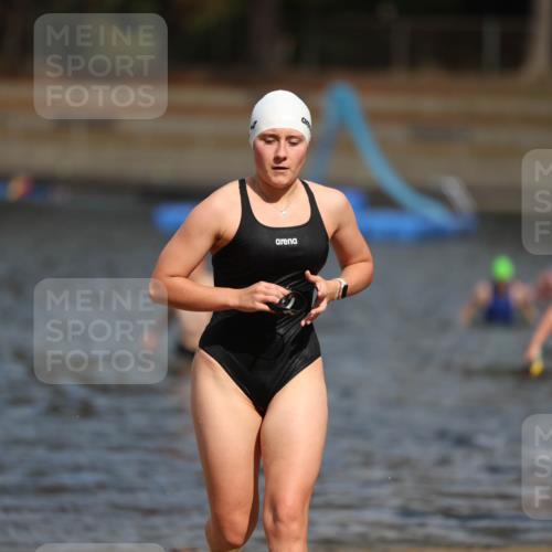 14.09.2025 - Stadtparktriathlon Michael Strokosch http://msf.ph/oto/8875342 14.09.2025 12:54:48 Schwimmen 1435, 1437, 1454, 1493, 1501 meine-sportfotos.de