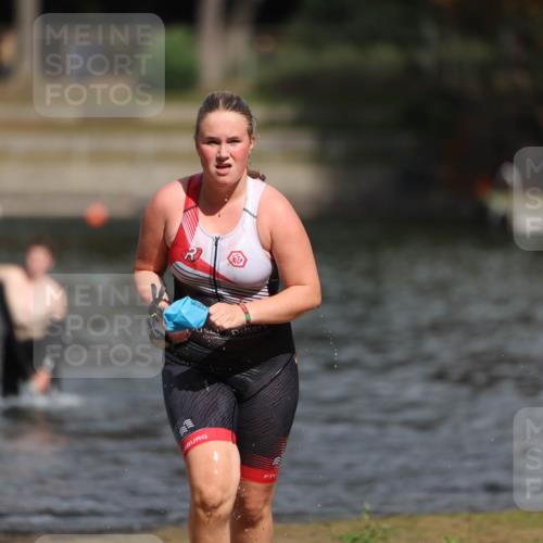 14.09.2025 - Stadtparktriathlon Michael Strokosch http://msf.ph/oto/8876016 14.09.2025 13:12:28 Schwimmen 1534, 1539, 1554 meine-sportfotos.de