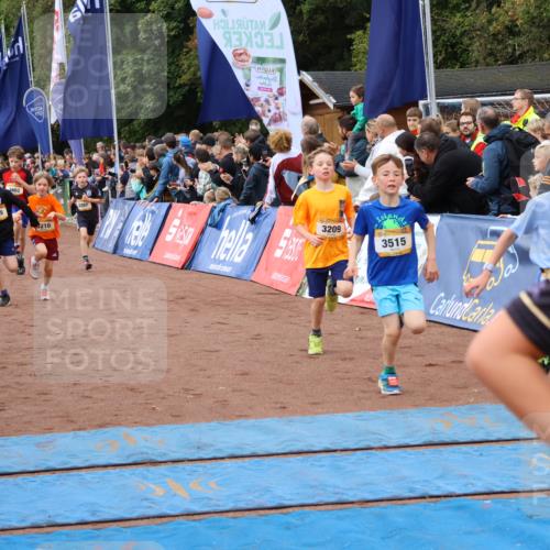 14.09.2025 - Airport Race Strokosch-Dieckow http://msf.ph/oto/8879197 14.09.2025 10:07:27 Ziel 3059, 3207, 3209, 3210, 3252, 3295, 3355, 3418, 3433, 3515, 3603, 3716 meine-sportfotos.de