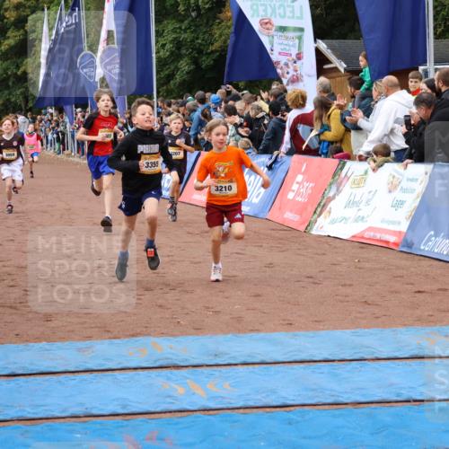 14.09.2025 - Airport Race Strokosch-Dieckow http://msf.ph/oto/8879208 14.09.2025 10:07:28 Ziel 3001, 3059, 3068, 3207, 3209, 3210, 3241, 3252, 3295, 3355, 3377, 3418, 3433, 3515, 3603, 3716, 3730 meine-sportfotos.de