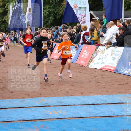 14.09.2025 - Airport Race Strokosch-Dieckow http://msf.ph/oto/8879215 14.09.2025 10:07:29 Ziel 3001, 3059, 3068, 3087, 3207, 3209, 3210, 3241, 3252, 3295, 3355, 3376, 3377, 3418, 3433, 3509, 3515, 3603, 3716, 3730 meine-sportfotos.de