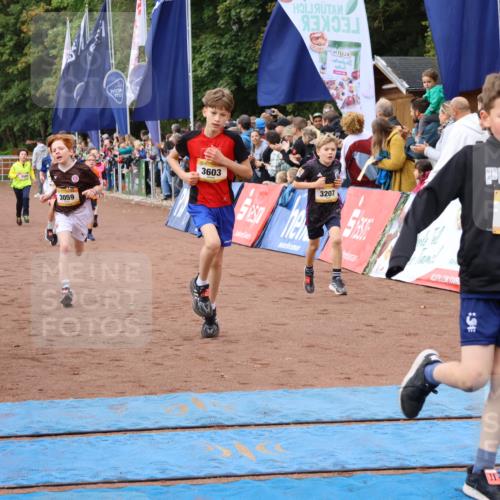 14.09.2025 - Airport Race Strokosch-Dieckow http://msf.ph/oto/8879236 14.09.2025 10:07:30 Ziel 3001, 3059, 3068, 3087, 3207, 3209, 3210, 3241, 3272, 3295, 3355, 3376, 3377, 3418, 3433, 3509, 3515, 3603, 3716, 3730 meine-sportfotos.de