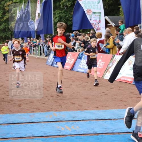 14.09.2025 - Airport Race Strokosch-Dieckow http://msf.ph/oto/8879243 14.09.2025 10:07:30 Ziel 3001, 3059, 3068, 3087, 3207, 3209, 3210, 3241, 3272, 3295, 3355, 3376, 3377, 3418, 3433, 3509, 3515, 3603, 3716, 3730 meine-sportfotos.de