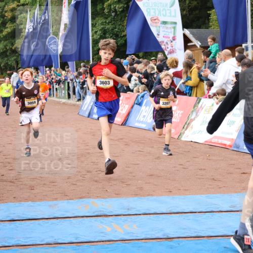 14.09.2025 - Airport Race Strokosch-Dieckow http://msf.ph/oto/8879250 14.09.2025 10:07:30 Ziel 3001, 3059, 3068, 3087, 3207, 3209, 3210, 3241, 3272, 3295, 3355, 3376, 3377, 3418, 3433, 3509, 3515, 3603, 3716, 3730 meine-sportfotos.de