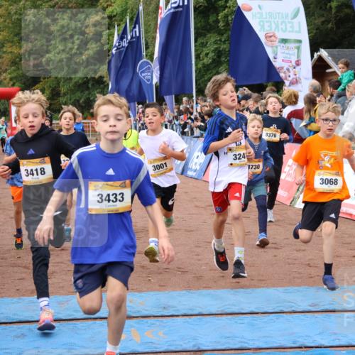 14.09.2025 - Airport Race Strokosch-Dieckow http://msf.ph/oto/8879287 14.09.2025 10:07:35 Ziel 3001, 3059, 3068, 3087, 3195, 3207, 3241, 3272, 3295, 3376, 3377, 3418, 3433, 3509, 3603, 3730, 3735 meine-sportfotos.de