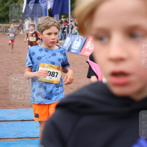 14.09.2025 - Airport Race Strokosch-Dieckow http://msf.ph/oto/8879339 14.09.2025 10:07:39 Ziel 3001, 3068, 3070, 3087, 3195, 3241, 3272, 3295, 3376, 3377, 3418, 3433, 3509, 3517, 3725, 3730, 3735 meine-sportfotos.de