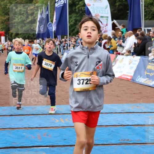 14.09.2025 - Airport Race Strokosch-Dieckow http://msf.ph/oto/8879374 14.09.2025 10:07:47 Ziel 3046, 3070, 3175, 3203, 3211, 3222, 3230, 3428, 3517, 3526, 3542, 3725, 3735 meine-sportfotos.de