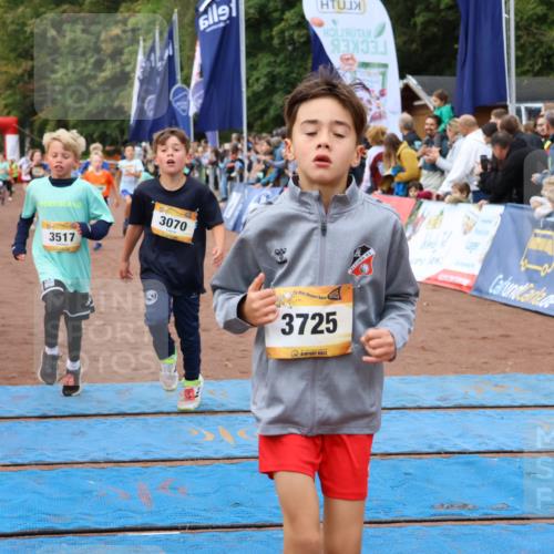 14.09.2025 - Airport Race Strokosch-Dieckow http://msf.ph/oto/8879380 14.09.2025 10:07:47 Ziel 3046, 3070, 3175, 3203, 3211, 3222, 3230, 3428, 3517, 3526, 3542, 3725, 3735 meine-sportfotos.de