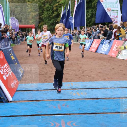 14.09.2025 - Airport Race Strokosch-Dieckow http://msf.ph/oto/8879468 14.09.2025 10:07:54 Ziel 3046, 3134, 3145, 3175, 3203, 3211, 3222, 3230, 3397, 3428, 3431, 3514, 3526, 3532, 3542, 3543, 3550 meine-sportfotos.de