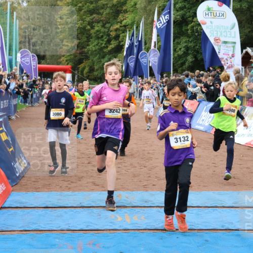 14.09.2025 - Airport Race Strokosch-Dieckow http://msf.ph/oto/8879702 14.09.2025 10:08:21 Ziel 3011, 3080, 3089, 3091, 3094, 3110, 3121, 3132, 3155, 3193, 3204, 3205, 3206, 3242, 3246, 3282, 3289, 3307, 3366, 3371, 3373, 3508, 3516, 3522 meine-sportfotos.de