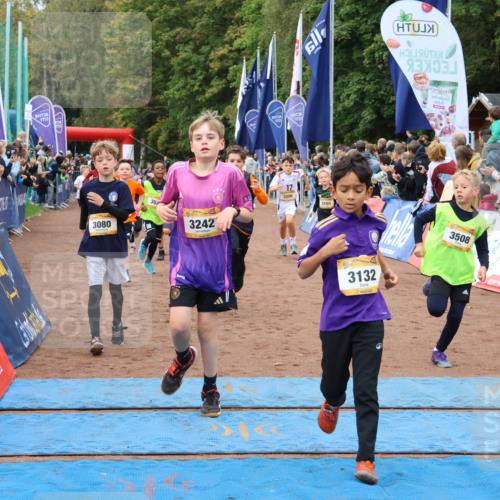 14.09.2025 - Airport Race Strokosch-Dieckow http://msf.ph/oto/8879715 14.09.2025 10:08:21 Ziel 3011, 3080, 3089, 3091, 3094, 3110, 3121, 3132, 3155, 3193, 3204, 3205, 3206, 3242, 3246, 3282, 3289, 3307, 3366, 3371, 3373, 3508, 3516, 3522 meine-sportfotos.de