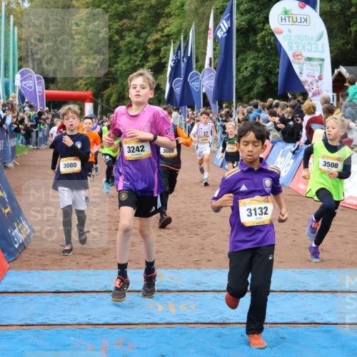 14.09.2025 - Airport Race Strokosch-Dieckow http://msf.ph/oto/8879721 14.09.2025 10:08:21 Ziel 3011, 3080, 3089, 3091, 3094, 3110, 3121, 3132, 3155, 3193, 3204, 3205, 3206, 3242, 3246, 3282, 3289, 3307, 3366, 3371, 3373, 3508, 3516, 3522 meine-sportfotos.de