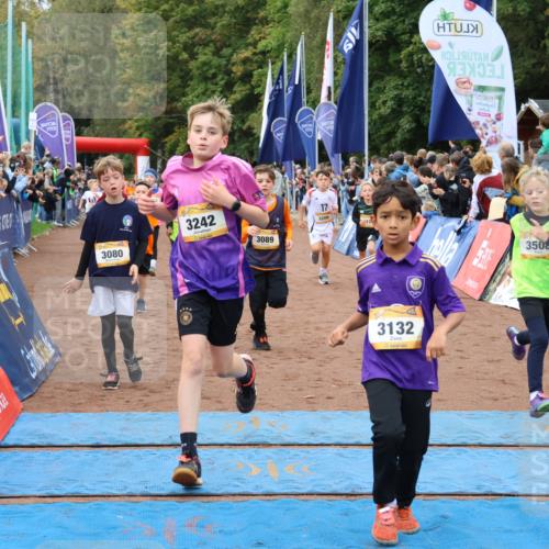 14.09.2025 - Airport Race Strokosch-Dieckow http://msf.ph/oto/8879733 14.09.2025 10:08:21 Ziel 3011, 3080, 3089, 3091, 3094, 3110, 3121, 3132, 3155, 3193, 3204, 3205, 3206, 3242, 3246, 3282, 3289, 3307, 3366, 3371, 3373, 3508, 3516, 3522 meine-sportfotos.de