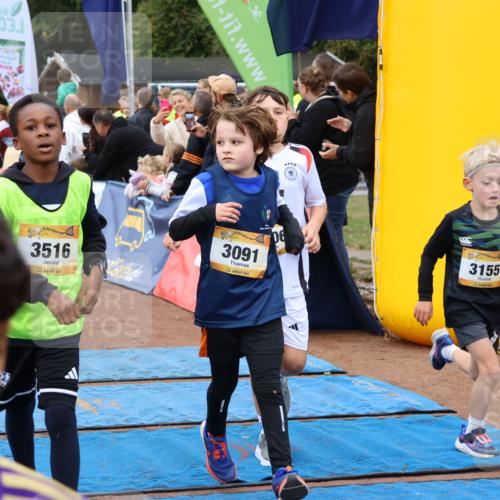 14.09.2025 - Airport Race Strokosch-Dieckow http://msf.ph/oto/8879764 14.09.2025 10:08:26 Ziel 3011, 3049, 3080, 3089, 3091, 3110, 3121, 3155, 3193, 3204, 3205, 3206, 3242, 3246, 3282, 3289, 3365, 3415, 3508, 3516, 3528, 3728 meine-sportfotos.de