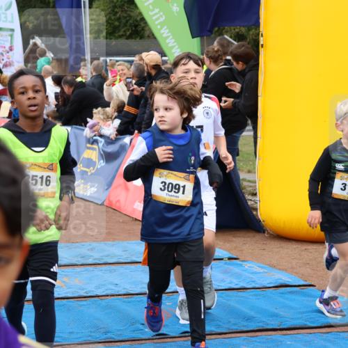 14.09.2025 - Airport Race Strokosch-Dieckow http://msf.ph/oto/8879769 14.09.2025 10:08:26 Ziel 3011, 3049, 3080, 3089, 3091, 3110, 3121, 3155, 3193, 3204, 3205, 3206, 3242, 3246, 3282, 3289, 3365, 3415, 3508, 3516, 3528, 3728 meine-sportfotos.de