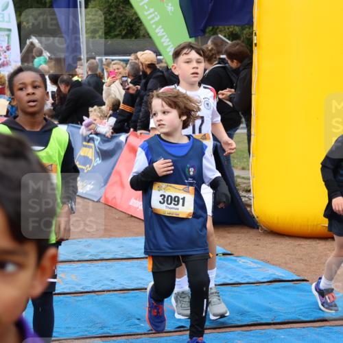 14.09.2025 - Airport Race Strokosch-Dieckow http://msf.ph/oto/8879774 14.09.2025 10:08:26 Ziel 3011, 3049, 3080, 3089, 3091, 3110, 3121, 3155, 3193, 3204, 3205, 3206, 3242, 3246, 3282, 3289, 3365, 3415, 3508, 3516, 3528, 3728 meine-sportfotos.de