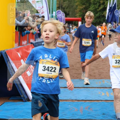 14.09.2025 - Airport Race Strokosch-Dieckow http://msf.ph/oto/8879866 14.09.2025 10:08:45 Ziel 3034, 3045, 3143, 3188, 3245, 3247, 3374, 3398, 3413, 3419, 3422, 3430, 3432, 3537, 3545, 3597, 3702, 3704, 3723 meine-sportfotos.de