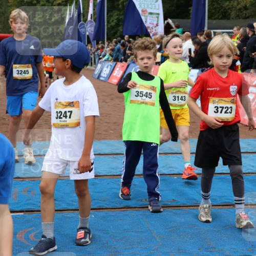 14.09.2025 - Airport Race Strokosch-Dieckow http://msf.ph/oto/8879877 14.09.2025 10:08:46 Ziel 3034, 3045, 3143, 3188, 3245, 3247, 3374, 3398, 3413, 3419, 3422, 3430, 3432, 3511, 3537, 3545, 3597, 3702, 3704, 3723 meine-sportfotos.de