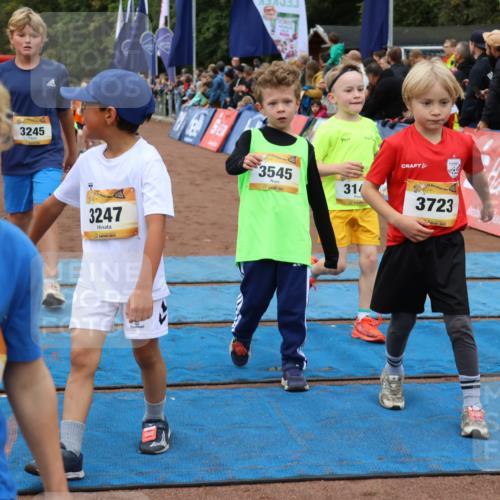 14.09.2025 - Airport Race Strokosch-Dieckow http://msf.ph/oto/8879883 14.09.2025 10:08:46 Ziel 3034, 3045, 3143, 3188, 3245, 3247, 3374, 3398, 3413, 3419, 3422, 3430, 3432, 3511, 3537, 3545, 3597, 3702, 3704, 3723 meine-sportfotos.de