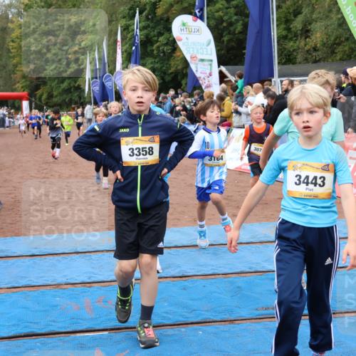 14.09.2025 - Airport Race Strokosch-Dieckow http://msf.ph/oto/8879969 14.09.2025 10:09:07 Ziel 3075, 3076, 3163, 3164, 3216, 3219, 3358, 3363, 3408, 3427, 3443, 3533, 3588, 3594, 3737 meine-sportfotos.de