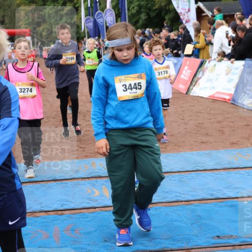 14.09.2025 - Airport Race Strokosch-Dieckow http://msf.ph/oto/8880119 14.09.2025 10:09:32 Ziel 3023, 3026, 3073, 3158, 3178, 3185, 3189, 3274, 3305, 3308, 3445, 3446, 3455, 3513, 3551, 3611, 3706 meine-sportfotos.de