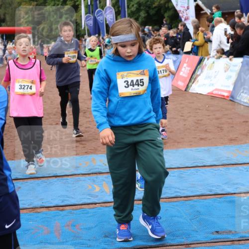 14.09.2025 - Airport Race Strokosch-Dieckow http://msf.ph/oto/8880123 14.09.2025 10:09:32 Ziel 3023, 3026, 3073, 3158, 3178, 3185, 3189, 3274, 3305, 3308, 3445, 3446, 3455, 3513, 3551, 3611, 3706 meine-sportfotos.de