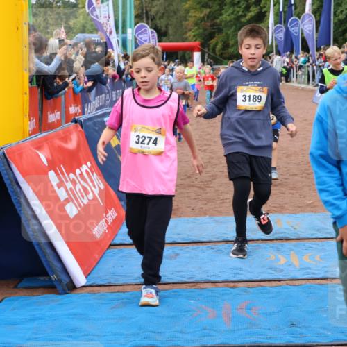 14.09.2025 - Airport Race Strokosch-Dieckow http://msf.ph/oto/8880132 14.09.2025 10:09:33 Ziel 3023, 3026, 3073, 3108, 3158, 3178, 3185, 3189, 3274, 3283, 3305, 3308, 3445, 3446, 3455, 3513, 3551, 3611, 3706 meine-sportfotos.de