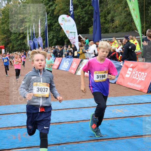 14.09.2025 - Airport Race Strokosch-Dieckow http://msf.ph/oto/8880259 14.09.2025 10:09:48 Ziel 3037, 3074, 3198, 3264, 3277, 3288, 3298, 3417, 3444, 3454, 3507, 3536, 3610, 3744 meine-sportfotos.de