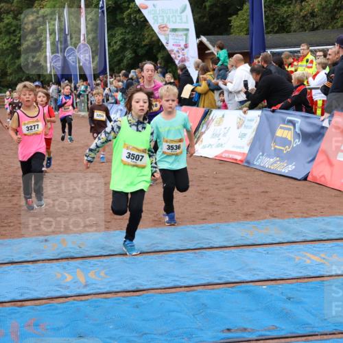 14.09.2025 - Airport Race Strokosch-Dieckow http://msf.ph/oto/8880272 14.09.2025 10:09:50 Ziel 3037, 3198, 3264, 3277, 3288, 3293, 3298, 3417, 3444, 3454, 3507, 3536, 3599, 3610, 3744 meine-sportfotos.de