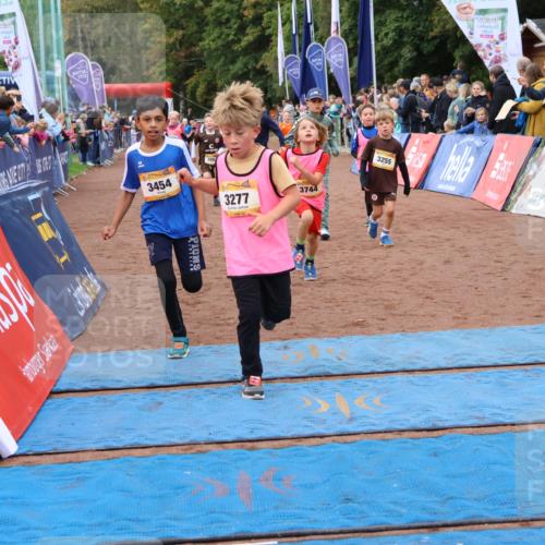 14.09.2025 - Airport Race Strokosch-Dieckow http://msf.ph/oto/8880291 14.09.2025 10:09:51 Ziel 3037, 3198, 3264, 3277, 3285, 3288, 3293, 3298, 3417, 3444, 3454, 3507, 3536, 3599, 3610, 3744 meine-sportfotos.de