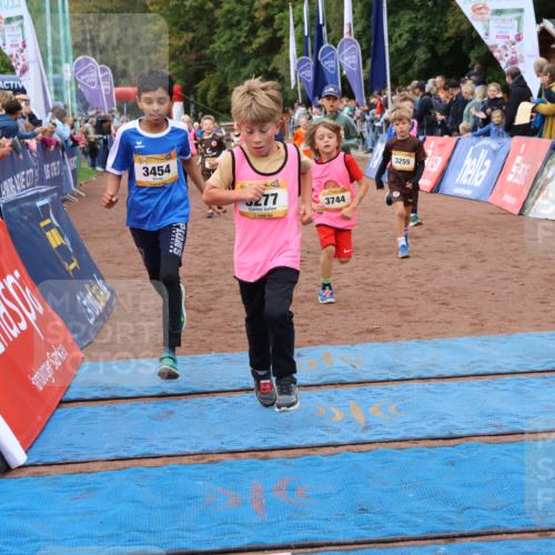 14.09.2025 - Airport Race Strokosch-Dieckow http://msf.ph/oto/8880309 14.09.2025 10:09:51 Ziel 3037, 3198, 3264, 3277, 3285, 3288, 3293, 3298, 3417, 3444, 3454, 3507, 3536, 3599, 3610, 3744 meine-sportfotos.de