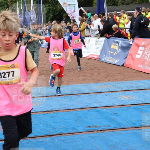 14.09.2025 - Airport Race Strokosch-Dieckow http://msf.ph/oto/8880330 14.09.2025 10:09:52 Ziel 3037, 3198, 3264, 3265, 3277, 3285, 3288, 3293, 3298, 3417, 3444, 3454, 3507, 3536, 3599, 3610, 3744 meine-sportfotos.de