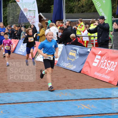 14.09.2025 - Airport Race Strokosch-Dieckow http://msf.ph/oto/8880425 14.09.2025 10:10:05 Ziel 3005, 3115, 3135, 3180, 3182, 3265, 3411, 3424, 3447, 3607 meine-sportfotos.de