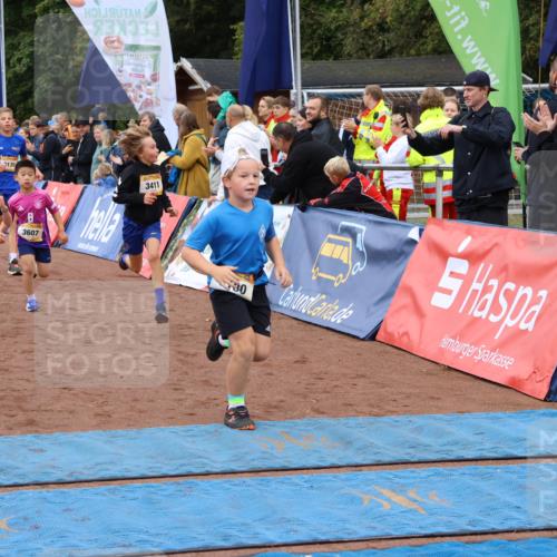 14.09.2025 - Airport Race Strokosch-Dieckow http://msf.ph/oto/8880432 14.09.2025 10:10:05 Ziel 3005, 3115, 3135, 3180, 3182, 3265, 3411, 3424, 3447, 3607 meine-sportfotos.de