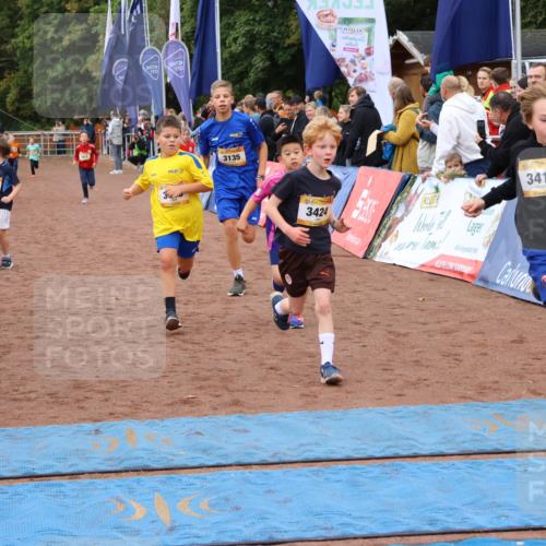 14.09.2025 - Airport Race Strokosch-Dieckow http://msf.ph/oto/8880439 14.09.2025 10:10:06 Ziel 3005, 3115, 3135, 3177, 3180, 3182, 3411, 3412, 3424, 3447, 3607 meine-sportfotos.de