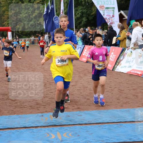 14.09.2025 - Airport Race Strokosch-Dieckow http://msf.ph/oto/8880455 14.09.2025 10:10:07 Ziel 3005, 3115, 3135, 3177, 3180, 3182, 3184, 3411, 3412, 3424, 3447, 3607 meine-sportfotos.de