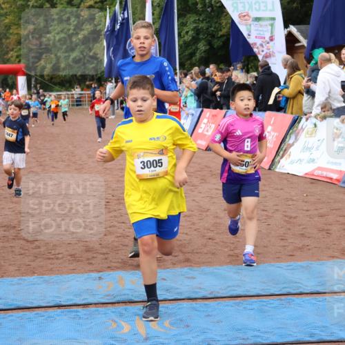 14.09.2025 - Airport Race Strokosch-Dieckow http://msf.ph/oto/8880471 14.09.2025 10:10:07 Ziel 3005, 3115, 3135, 3177, 3180, 3182, 3184, 3411, 3412, 3424, 3447, 3607 meine-sportfotos.de