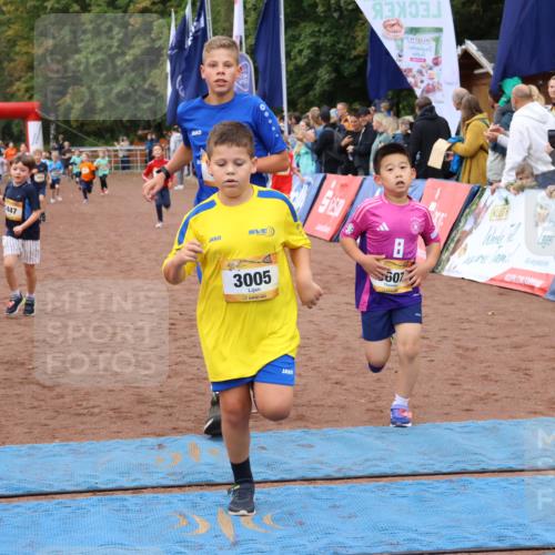 14.09.2025 - Airport Race Strokosch-Dieckow http://msf.ph/oto/8880479 14.09.2025 10:10:07 Ziel 3005, 3115, 3135, 3177, 3180, 3182, 3184, 3411, 3412, 3424, 3447, 3607 meine-sportfotos.de