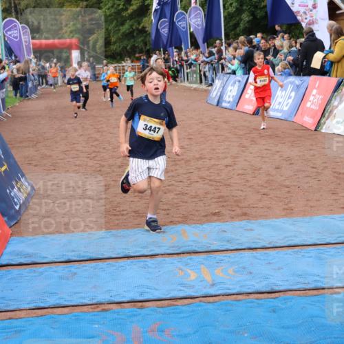 14.09.2025 - Airport Race Strokosch-Dieckow http://msf.ph/oto/8880492 14.09.2025 10:10:10 Ziel 3005, 3054, 3135, 3174, 3177, 3180, 3182, 3184, 3411, 3412, 3424, 3447, 3577, 3607 meine-sportfotos.de