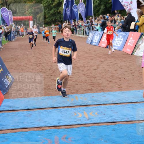 14.09.2025 - Airport Race Strokosch-Dieckow http://msf.ph/oto/8880498 14.09.2025 10:10:10 Ziel 3005, 3054, 3135, 3174, 3177, 3180, 3182, 3184, 3411, 3412, 3424, 3447, 3577, 3607 meine-sportfotos.de