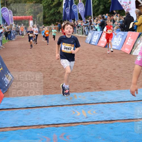 14.09.2025 - Airport Race Strokosch-Dieckow http://msf.ph/oto/8880504 14.09.2025 10:10:10 Ziel 3005, 3054, 3135, 3174, 3177, 3180, 3182, 3184, 3411, 3412, 3424, 3447, 3577, 3607 meine-sportfotos.de