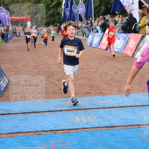 14.09.2025 - Airport Race Strokosch-Dieckow http://msf.ph/oto/8880512 14.09.2025 10:10:10 Ziel 3005, 3054, 3135, 3174, 3177, 3180, 3182, 3184, 3411, 3412, 3424, 3447, 3577, 3607 meine-sportfotos.de