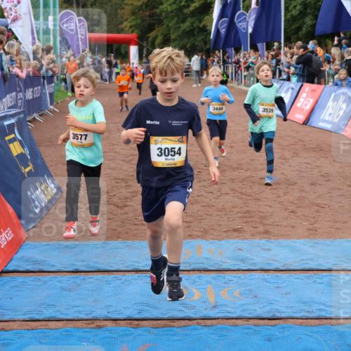 14.09.2025 - Airport Race Strokosch-Dieckow http://msf.ph/oto/8880593 14.09.2025 10:10:18 Ziel 3054, 3165, 3174, 3177, 3182, 3184, 3412, 3449, 3524, 3539, 3577, 3705 meine-sportfotos.de