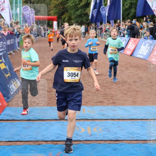 14.09.2025 - Airport Race Strokosch-Dieckow http://msf.ph/oto/8880604 14.09.2025 10:10:18 Ziel 3054, 3165, 3174, 3177, 3182, 3184, 3412, 3449, 3524, 3539, 3577, 3705 meine-sportfotos.de