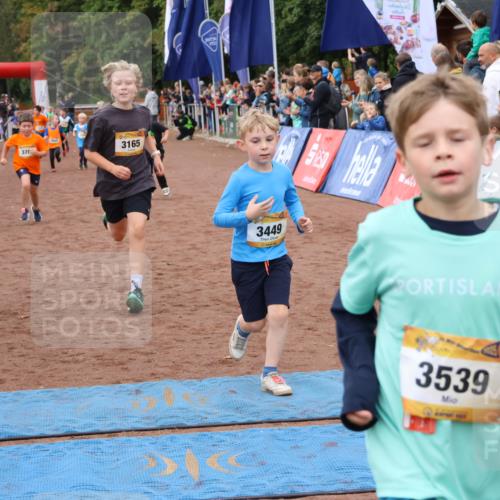 14.09.2025 - Airport Race Strokosch-Dieckow http://msf.ph/oto/8880639 14.09.2025 10:10:20 Ziel 3054, 3165, 3174, 3184, 3372, 3449, 3524, 3539, 3577, 3705 meine-sportfotos.de